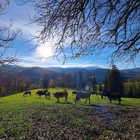 Erlebnisbauernhof Gutschi Ranch Kamp Екстериор снимка