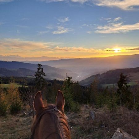 Erlebnisbauernhof Gutschi Ranch Kamp Екстериор снимка