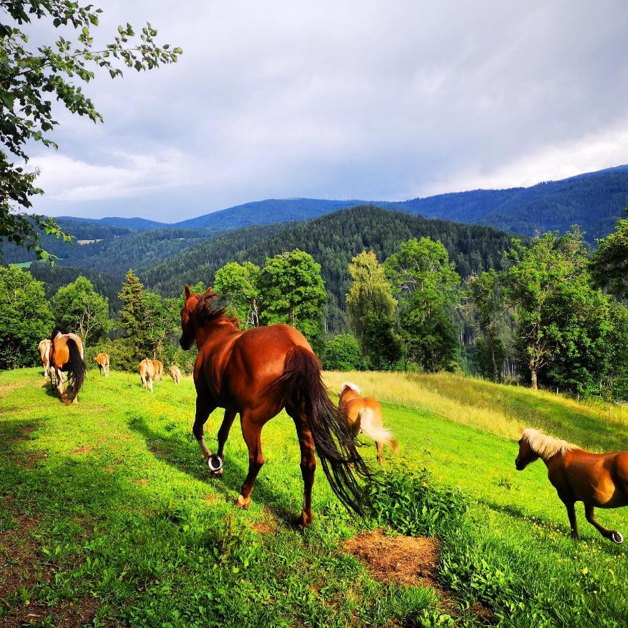 Erlebnisbauernhof Gutschi Ranch Kamp Екстериор снимка