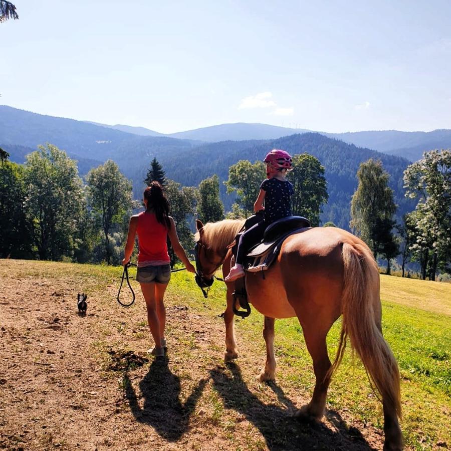 Erlebnisbauernhof Gutschi Ranch Kamp Екстериор снимка
