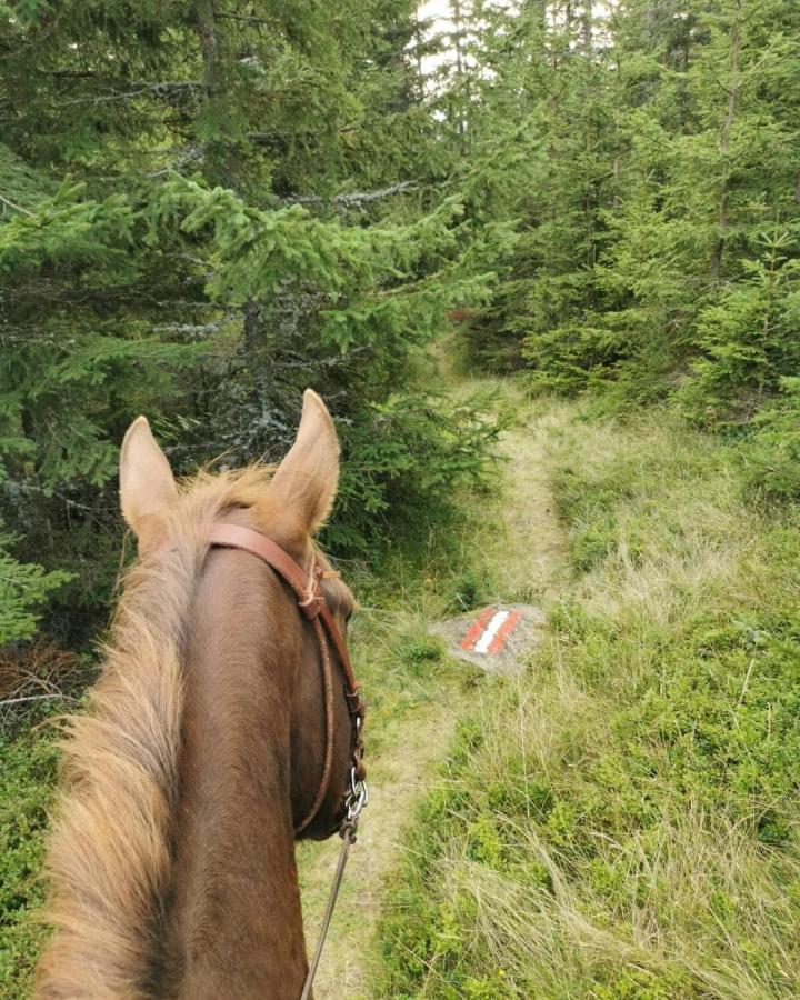 Erlebnisbauernhof Gutschi Ranch Kamp Екстериор снимка