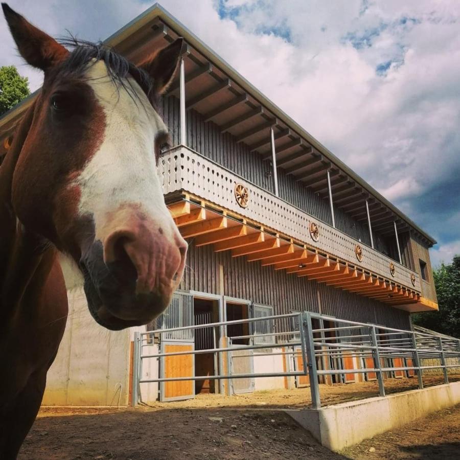 Erlebnisbauernhof Gutschi Ranch Kamp Екстериор снимка