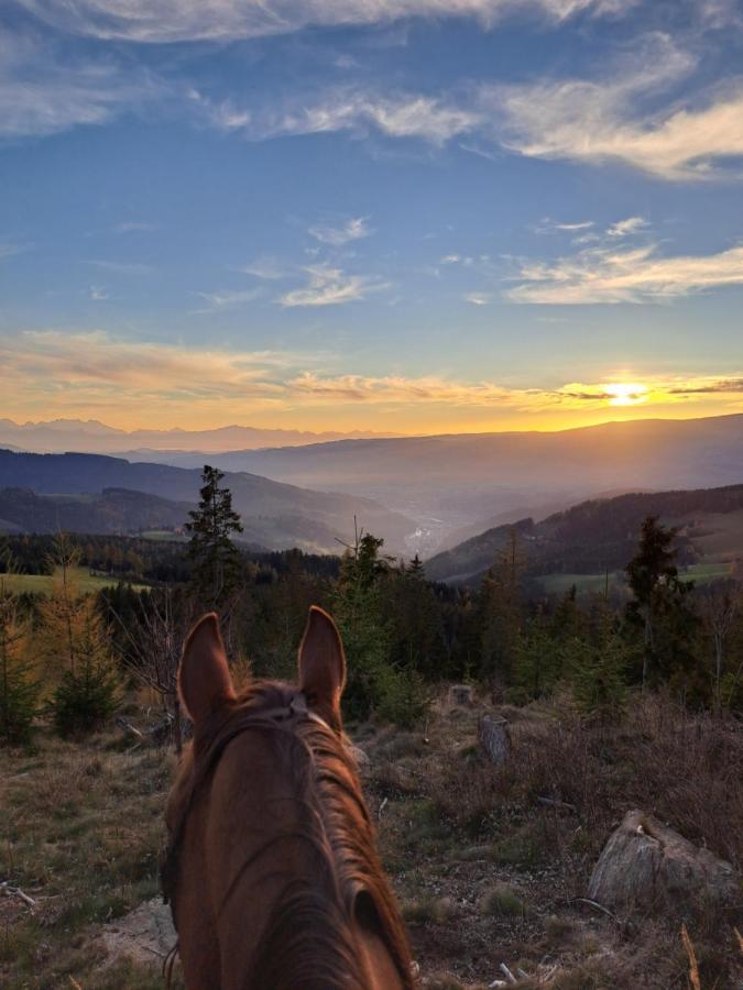 Erlebnisbauernhof Gutschi Ranch Kamp Екстериор снимка