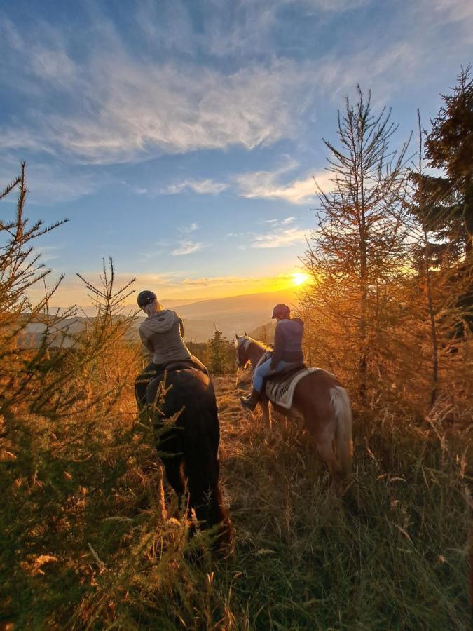 Erlebnisbauernhof Gutschi Ranch Kamp Екстериор снимка