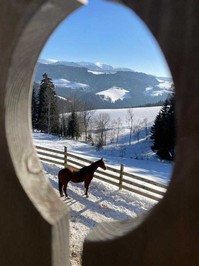 Erlebnisbauernhof Gutschi Ranch Kamp Екстериор снимка