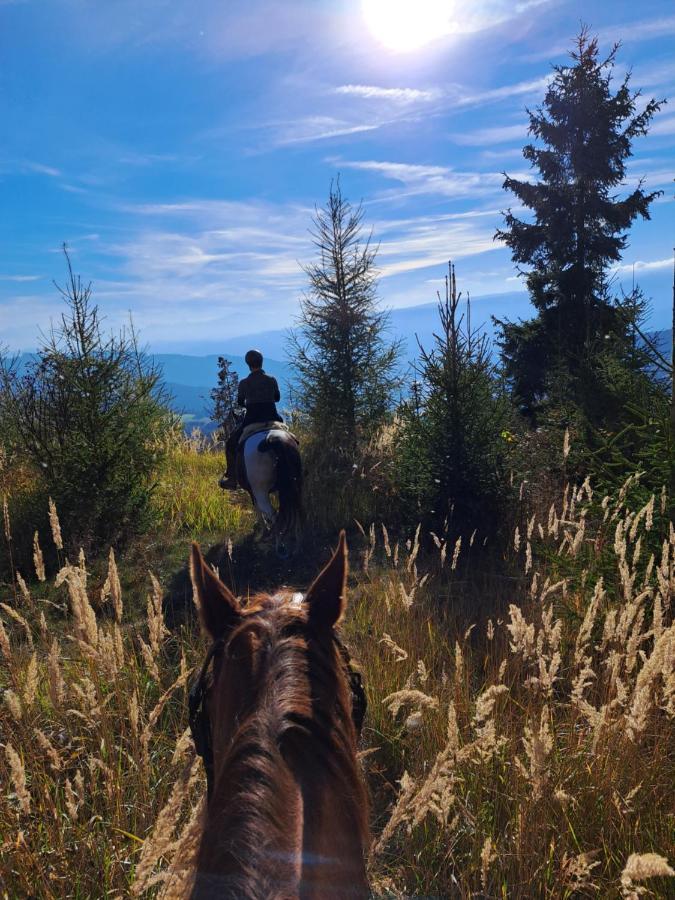 Erlebnisbauernhof Gutschi Ranch Kamp Екстериор снимка