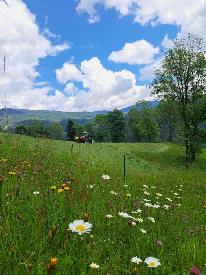 Erlebnisbauernhof Gutschi Ranch Kamp Екстериор снимка
