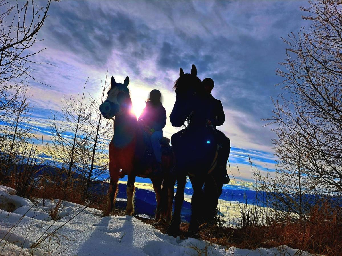 Erlebnisbauernhof Gutschi Ranch Kamp Екстериор снимка