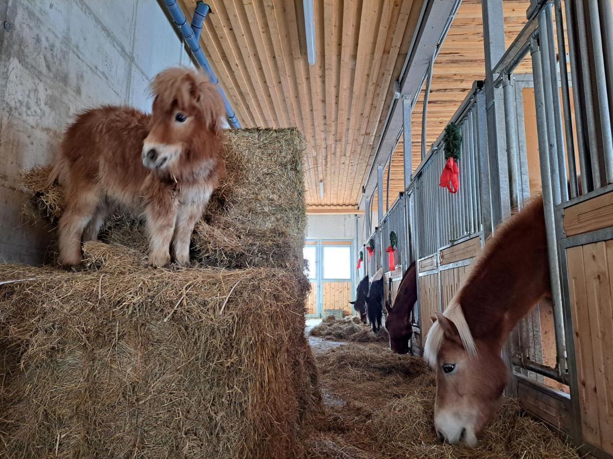 Erlebnisbauernhof Gutschi Ranch Kamp Екстериор снимка