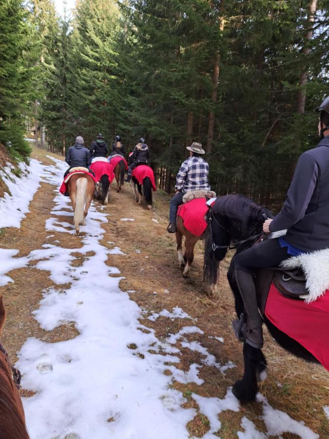Erlebnisbauernhof Gutschi Ranch Kamp Екстериор снимка