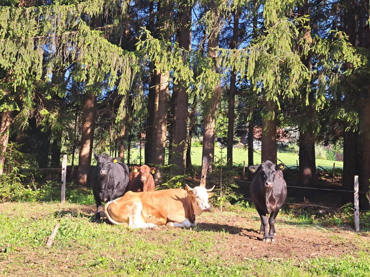 Erlebnisbauernhof Gutschi Ranch Kamp Екстериор снимка