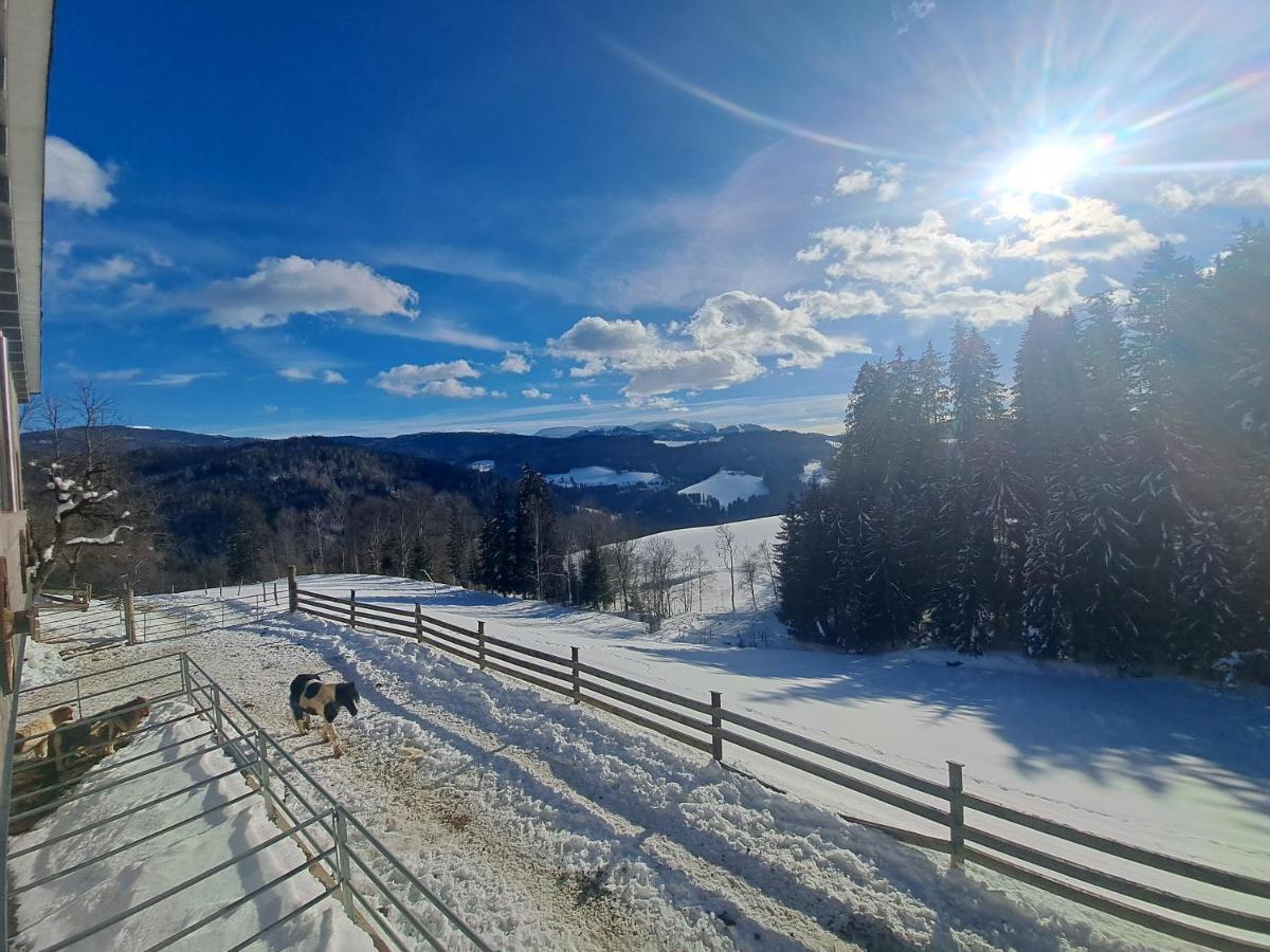 Erlebnisbauernhof Gutschi Ranch Kamp Екстериор снимка
